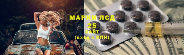 дживик Аркадак