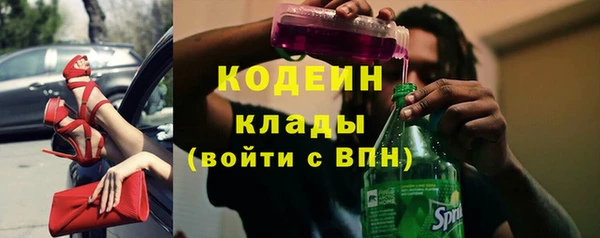 гидра Арсеньев