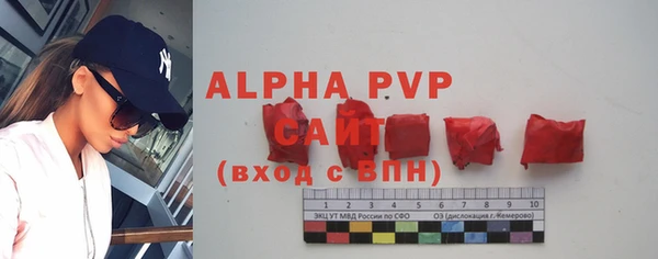 гидра Арсеньев