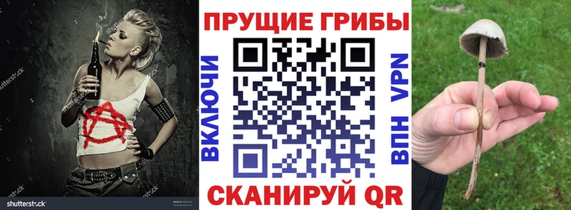Галлюциногенные грибы MAGIC MUSHROOMS  сколько стоит  Сочи 