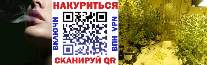 закладка  Сочи  omg онион  Бошки Шишки планчик 
